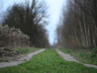 Rzadki do dostania obiektyw M42 Super-Takumar 85mm F1.9 - zdjęcia przykładowe na Nikon Z7 II