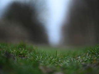 Rzadki do dostania obiektyw M42 Super-Takumar 85mm F1.9 - zdjęcia przykładowe na Nikon Z7 II