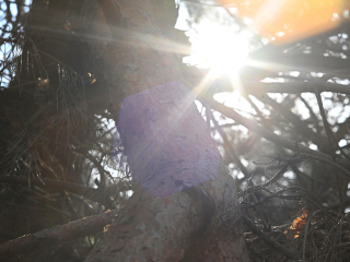 Rzadki do dostania obiektyw M42 Super-Takumar 85mm F1.9 - zdjęcia przykładowe na Nikon Z7 II