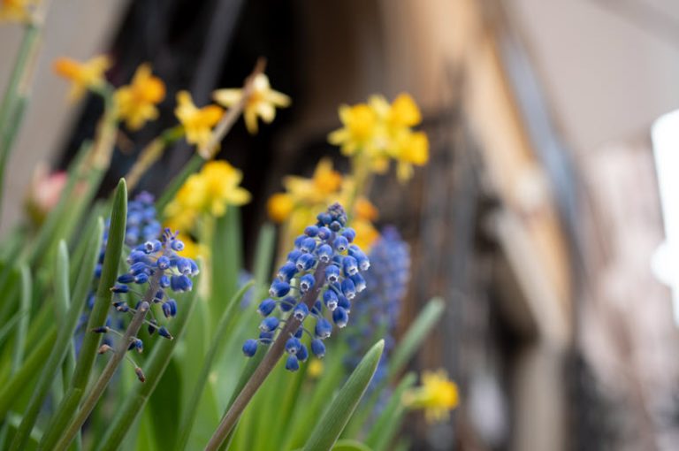 Premierowa Sigma 23mm F1.4 DC DN Contemporary - zdjęcia przykładowe na Sony A6300