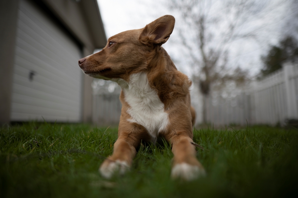 AF-S Nikkor 24mm F1.4G ED