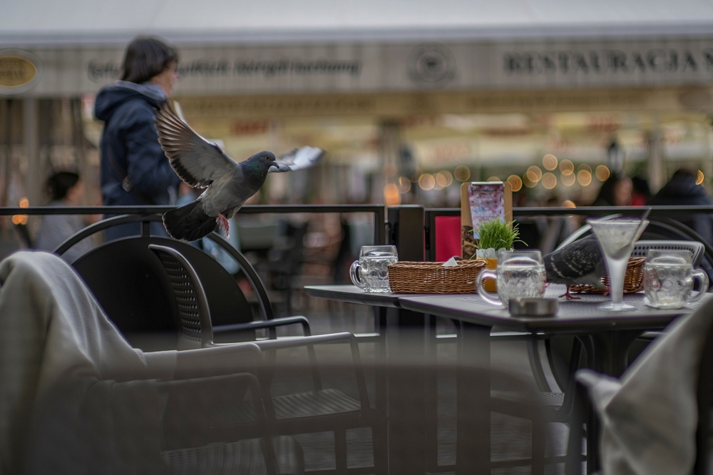 TTArtisan M 50mm F0.95