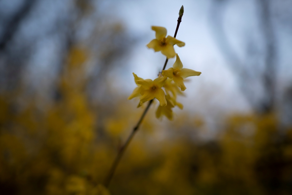 AF-S Nikkor 24mm F1.4G ED