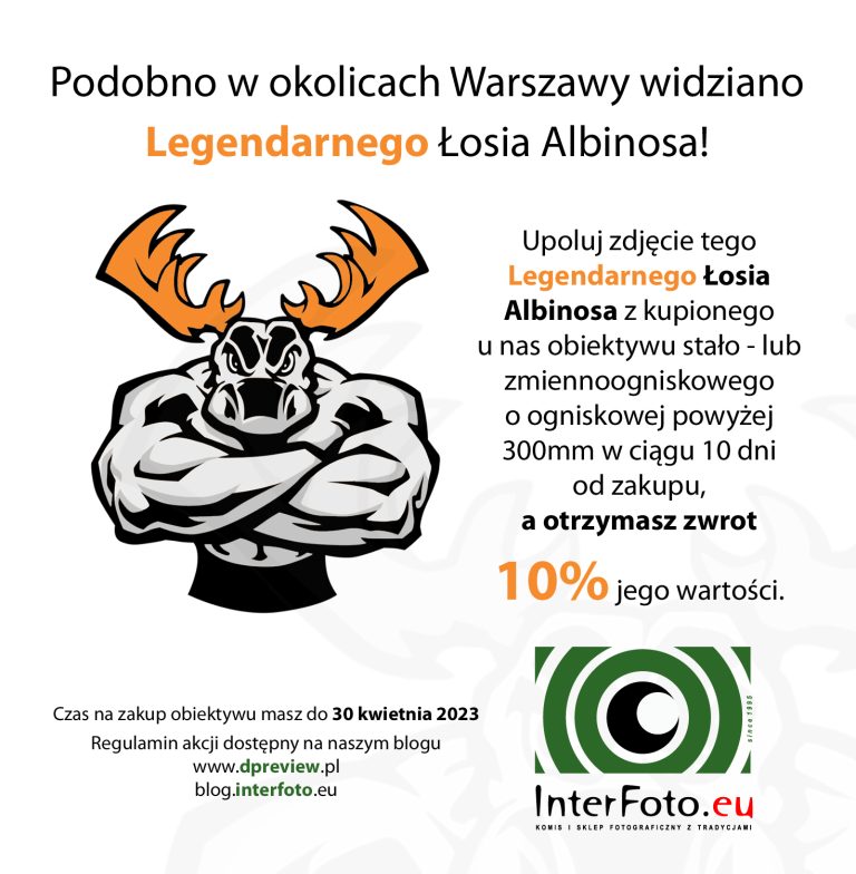 Zgarnij 10% zwrot za zakup obiektywu powyżej 300mm. Czas na zakup obiektywu masz do 30 kwietnia 2023. Akcja Legendarnego Łosia Albinosa.