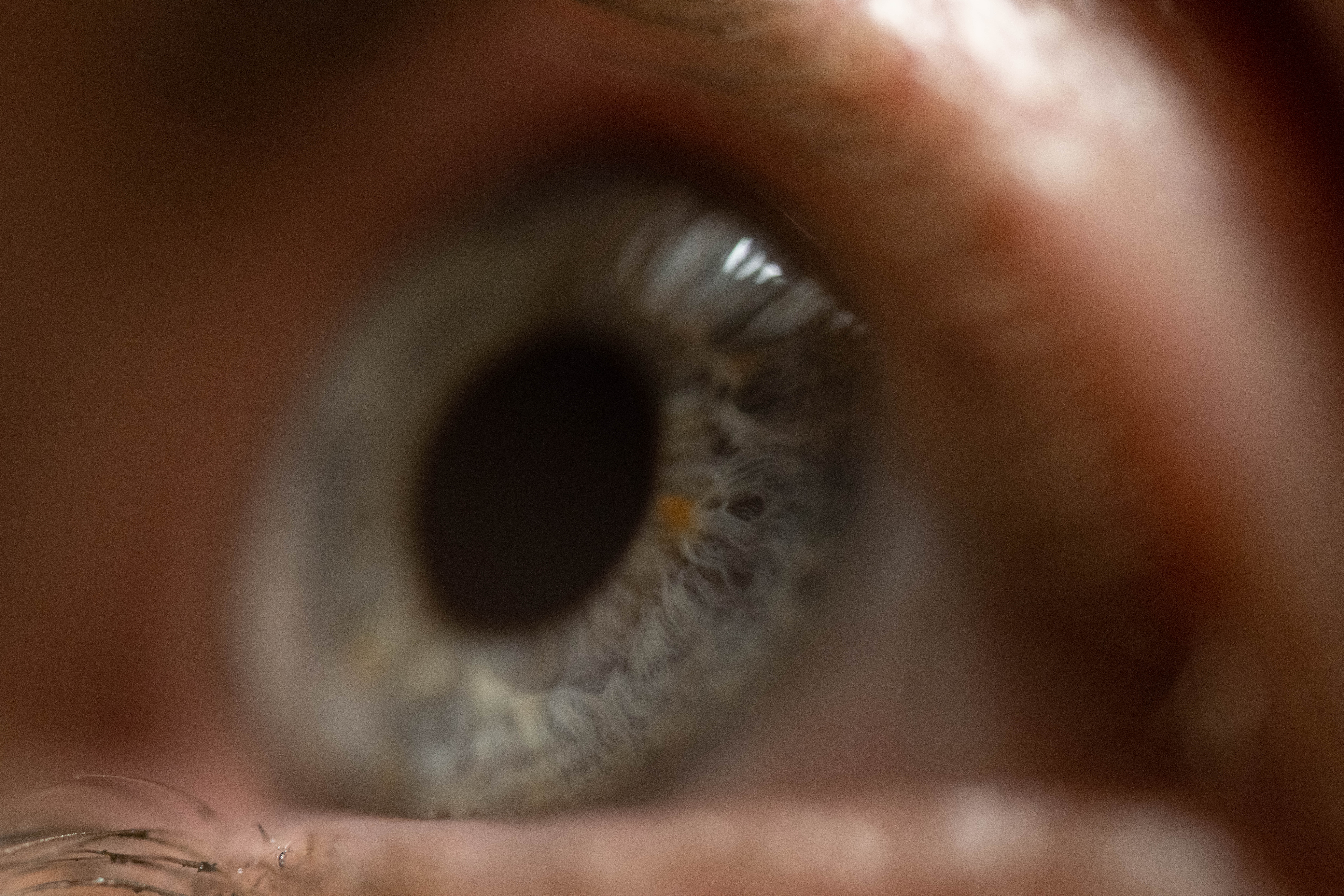 TTArtisan 100mm F2.8 Macro 2X Tilt-Shift