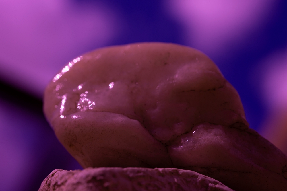 Macro TTArtisan 40mm