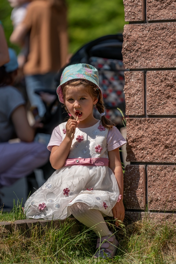 Sony FE 70 200mm F2.8 GM OSS 2