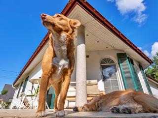 Batch Tamron 11 20mm 102