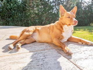 Batch Tamron 11 20mm 103