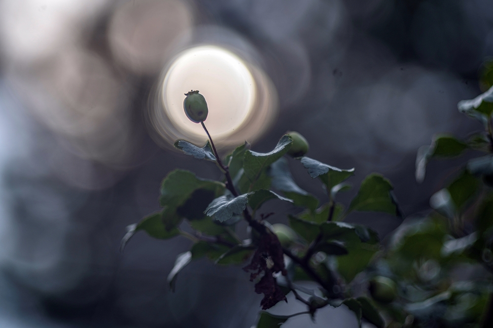 TTArtisan 100mm 1