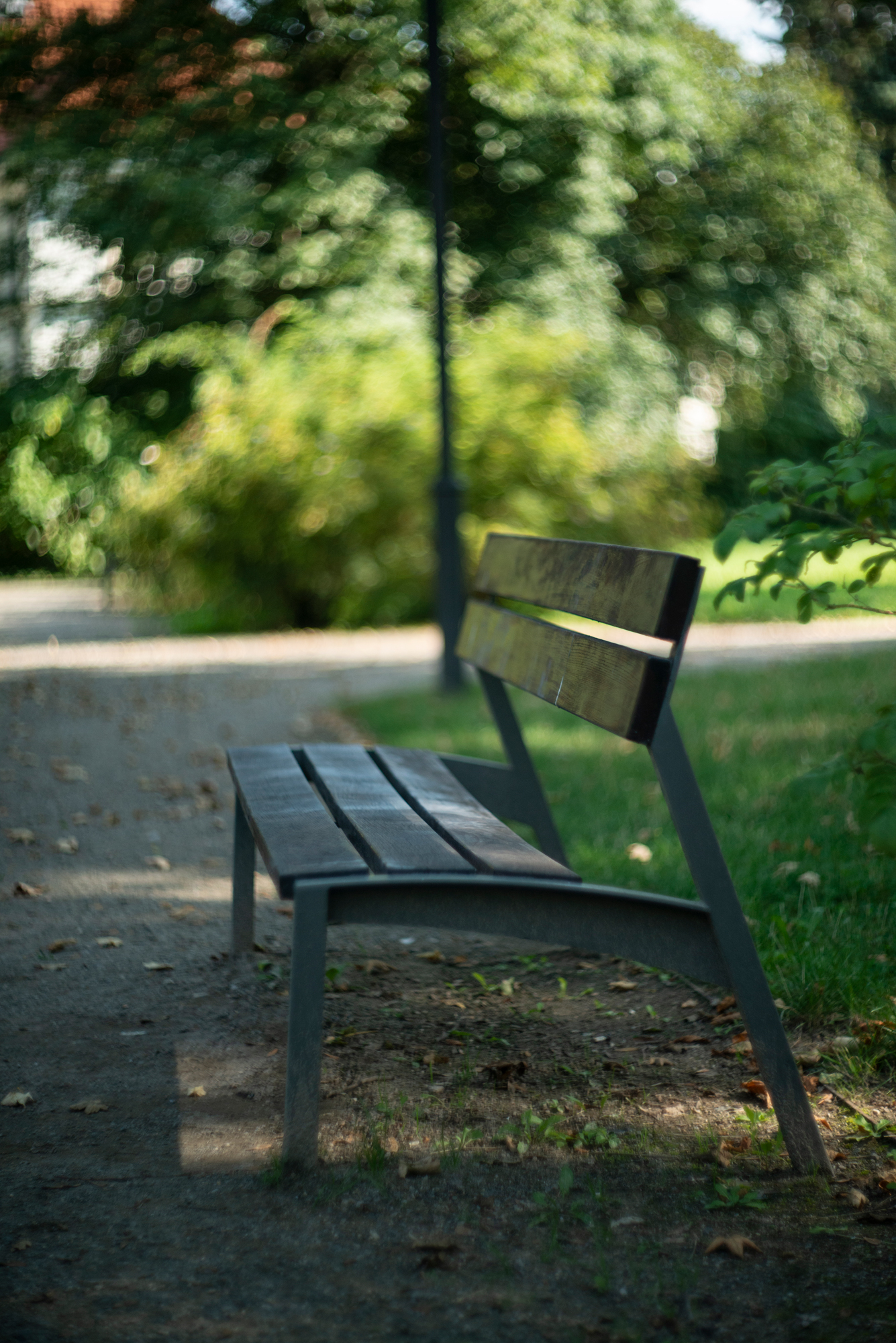 Nikon D800 i Carl Zeiss Biotar 75mm F1.5 Bokeh Killerz