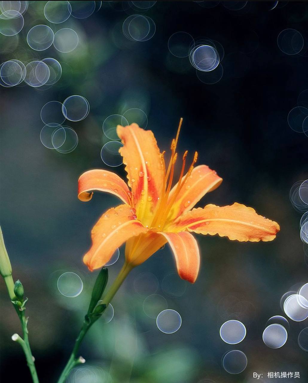 Zapowiedź nowego obiektywu portretowego TTArtisan 100mm F2.8 M42 Bubble Bokeh