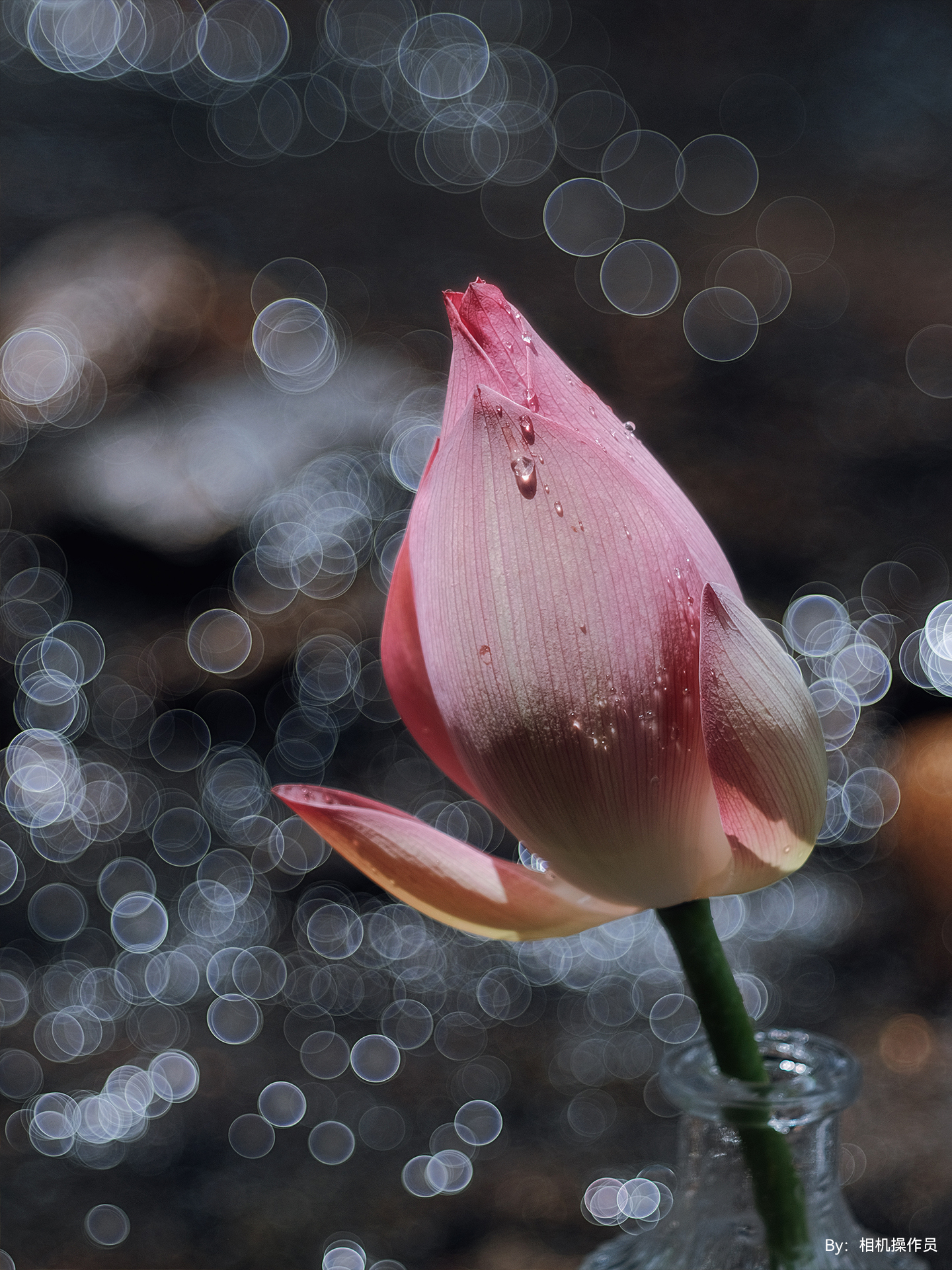 TTArtisan 100mm F2.8 Bubble Bokeh M42
