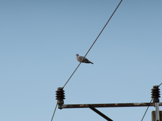 Pierwsze zdjęcia przykładowe na teleobiektywie TTArtisan 500mm F6.3 ED cinema-scene super mc w asyście Sony A7S II i Sony A9 II