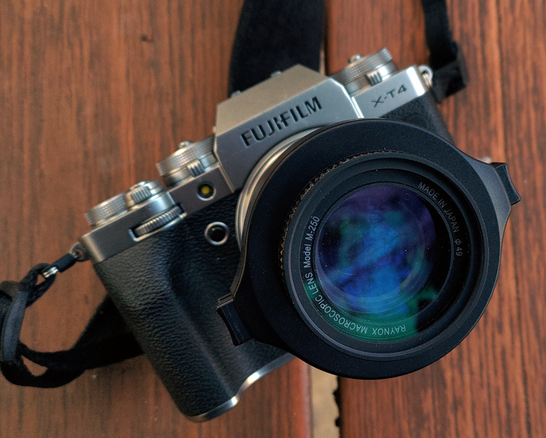 TTArtisan AF 35mm F1.8 + Fujifilm X-T4 + Raynox DCR-250