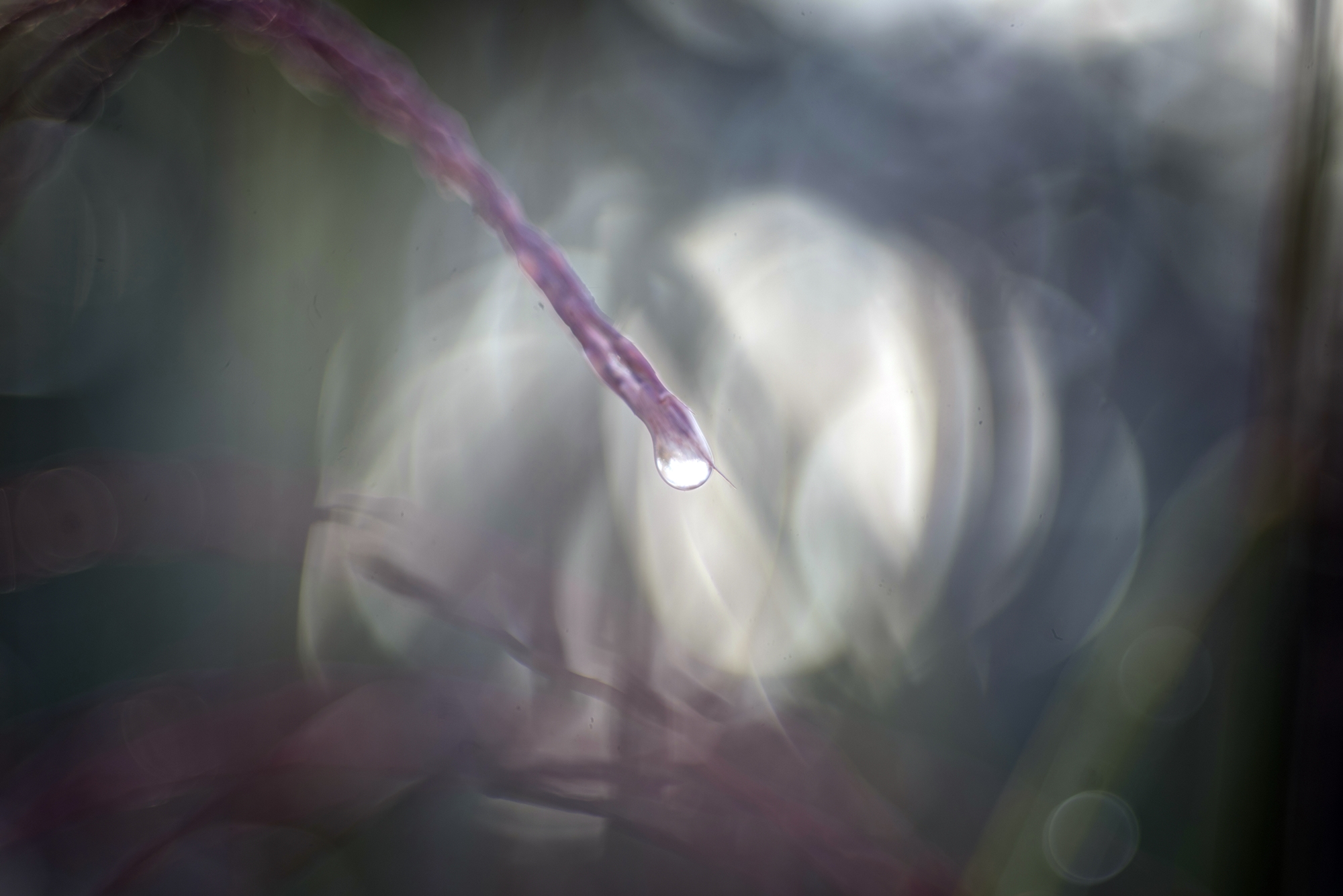 TTArtisan 100mm F2.8 6
