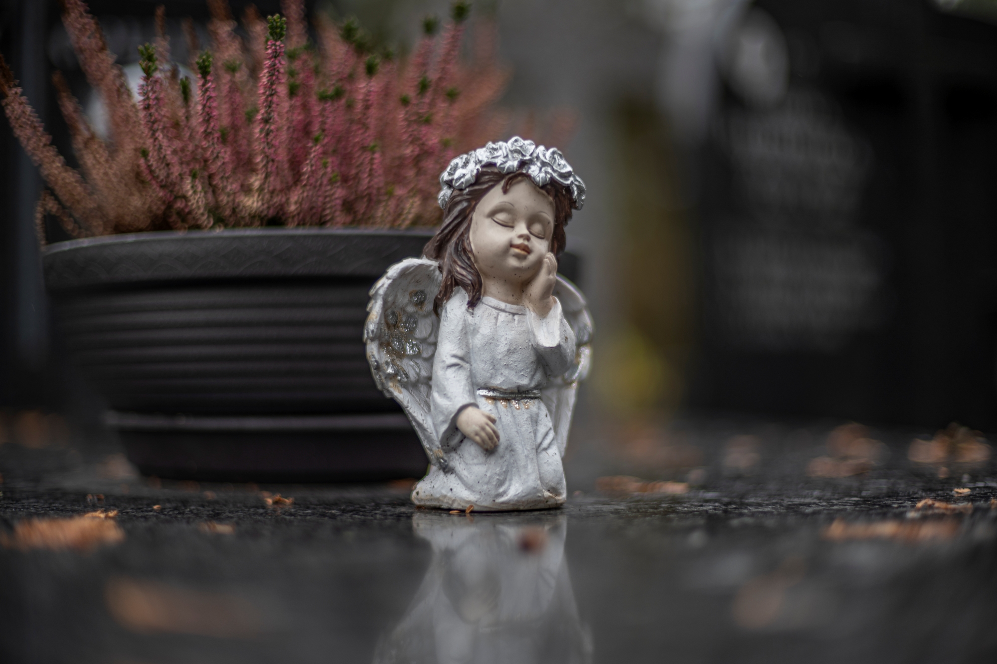 Voigtlander VM 50mm F1.1 Nokton 6