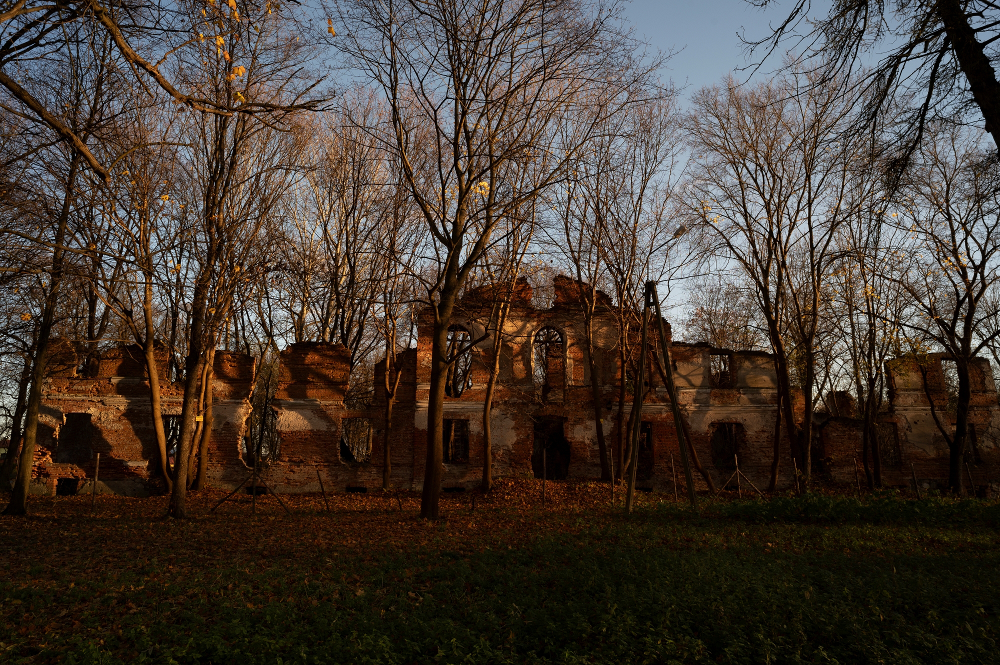 TTArtisan M 21mm F1.5 ASPH_DSC3320