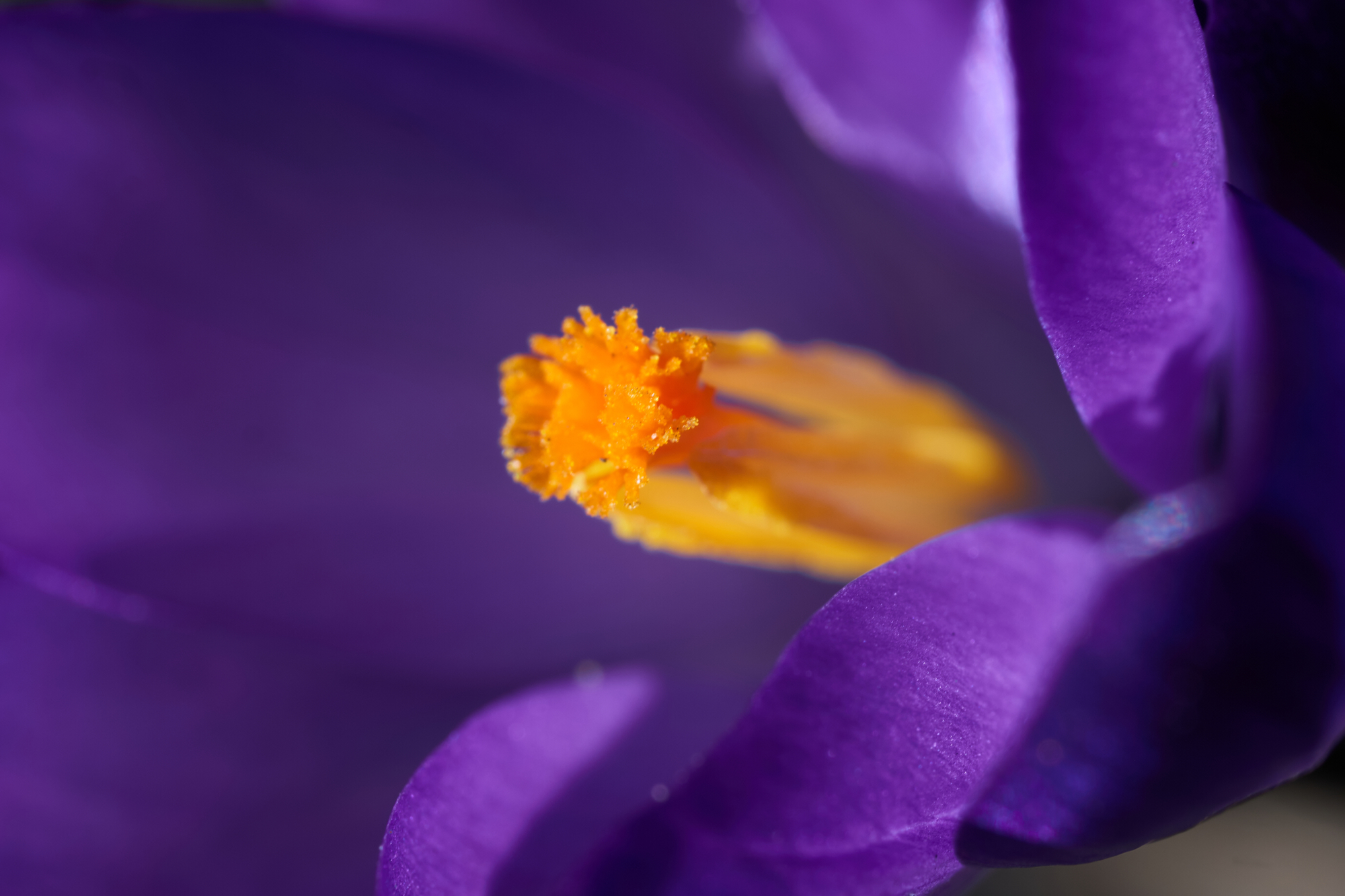 TTArtisan the best of 2023 TTArtisan 40mm F2.8 Macro 1:1