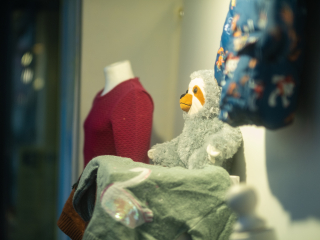 Galeria zdjęć przykładowych wykonana aparatem FujiFilm X-H1 oraz obiektywem FujiFilm XF 50mm F1 R WR Fujinon