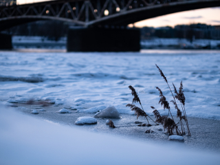 Galeria zdjęć przykładowych wykonana aparatem FujiFilm X-H1 oraz obiektywem FujiFilm XF 50mm F1 R WR Fujinon