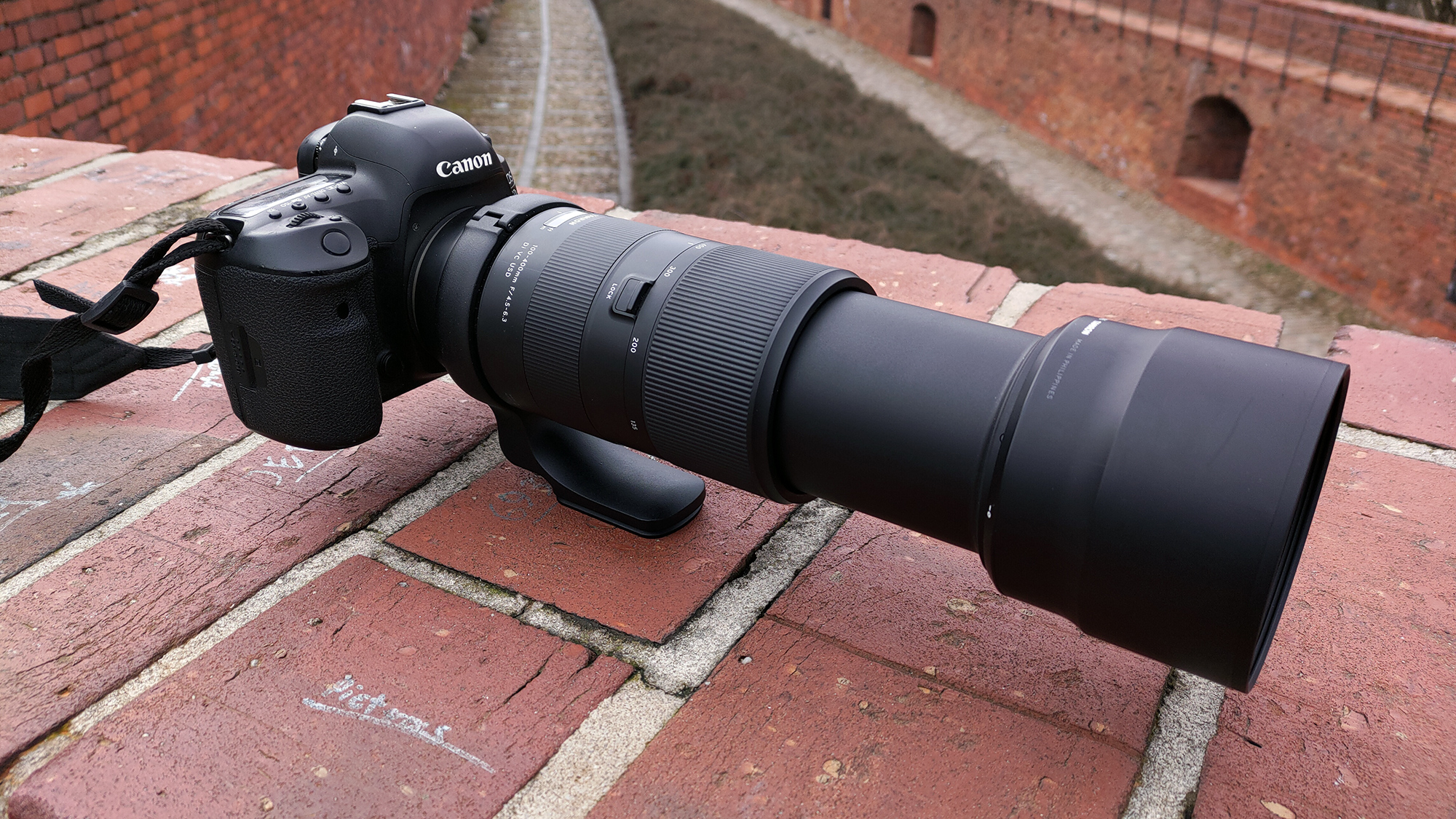 Tamron 100-400mm F4.5-6.3 Di VC USD i Canon EOS 5D Mark IV zdjęcia przykładowe 2024