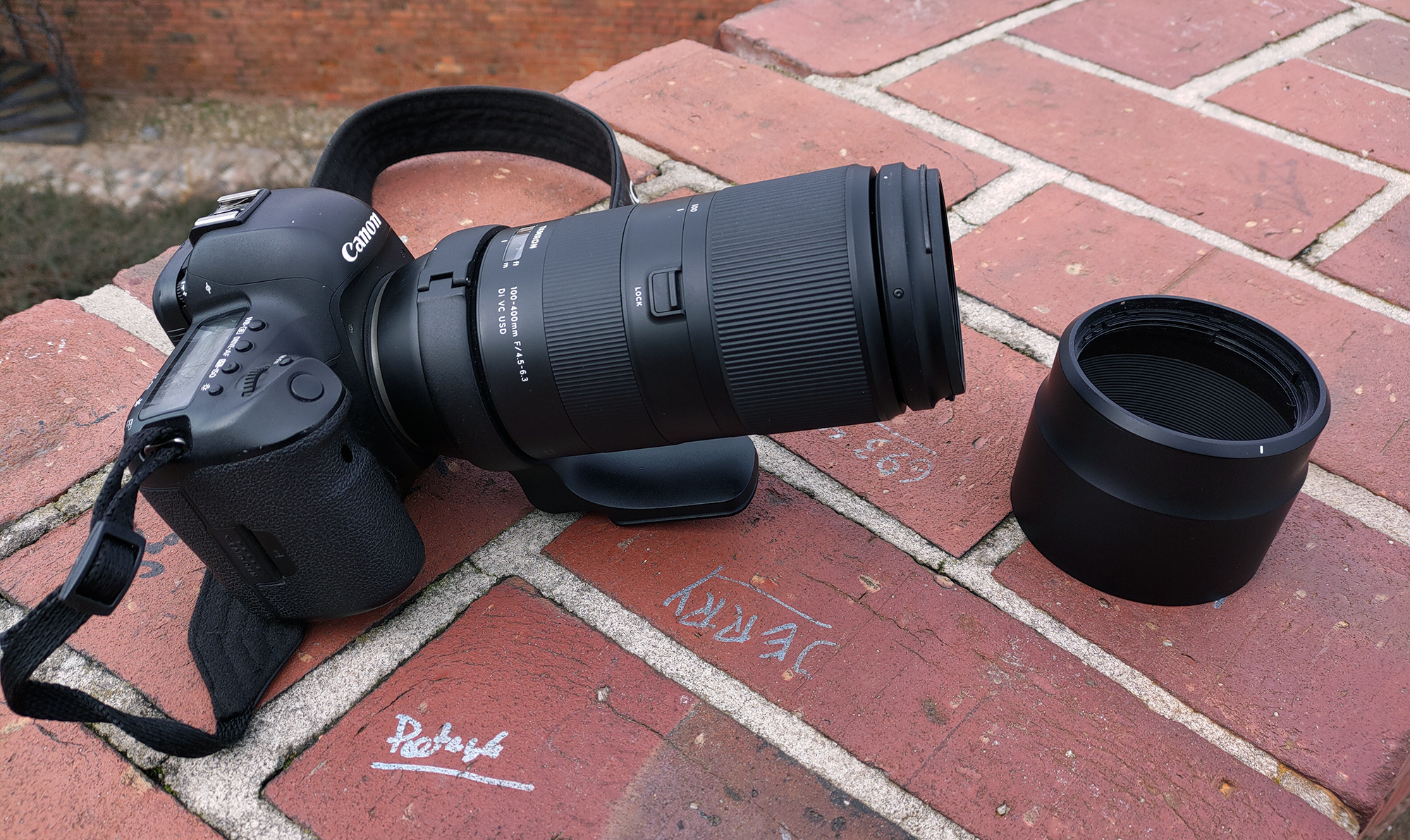 Tamron 100-400mm F4.5-6.3 Di VC USD i Canon EOS 5D Mark IV zdjęcia przykładowe 2024
