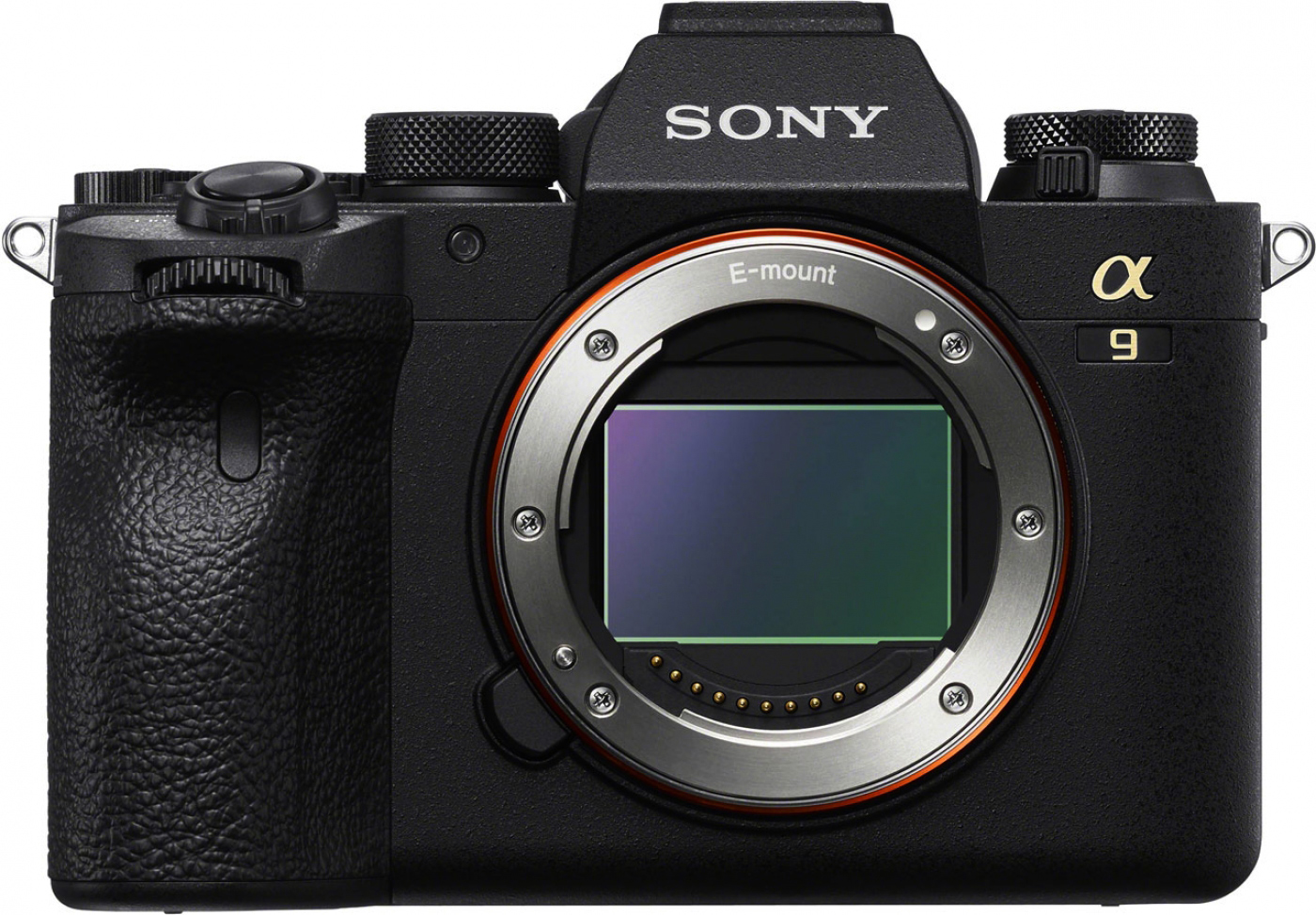 Sony A9 II i Obiektyw Sony FE 200-600mm F5.6-6.3 G OSS