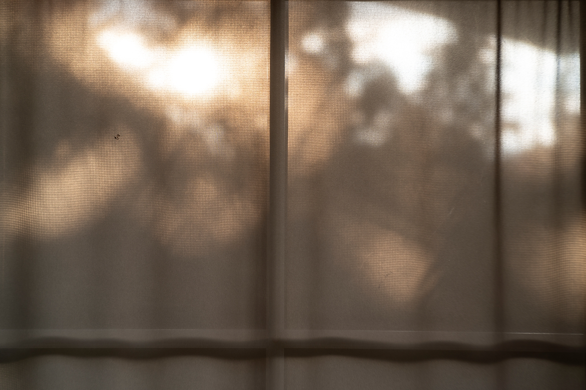 Jupiter 3 plus 50mm F1.5__dsc3581
