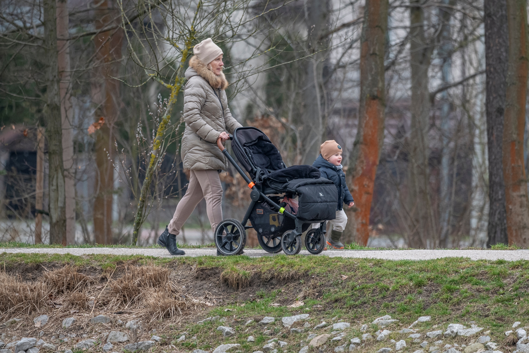 Sigma 500mm 3