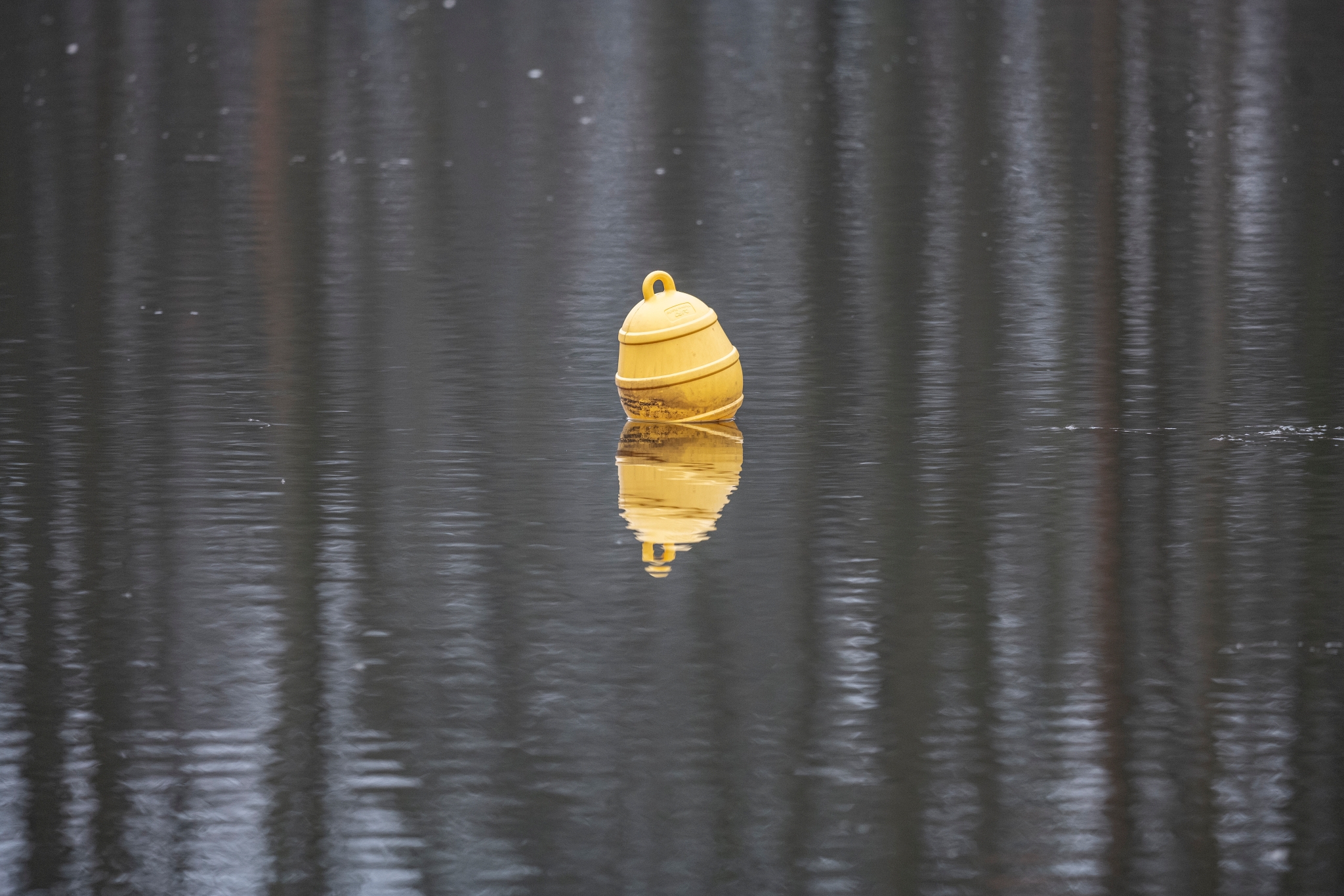 Sigma 500mm 5