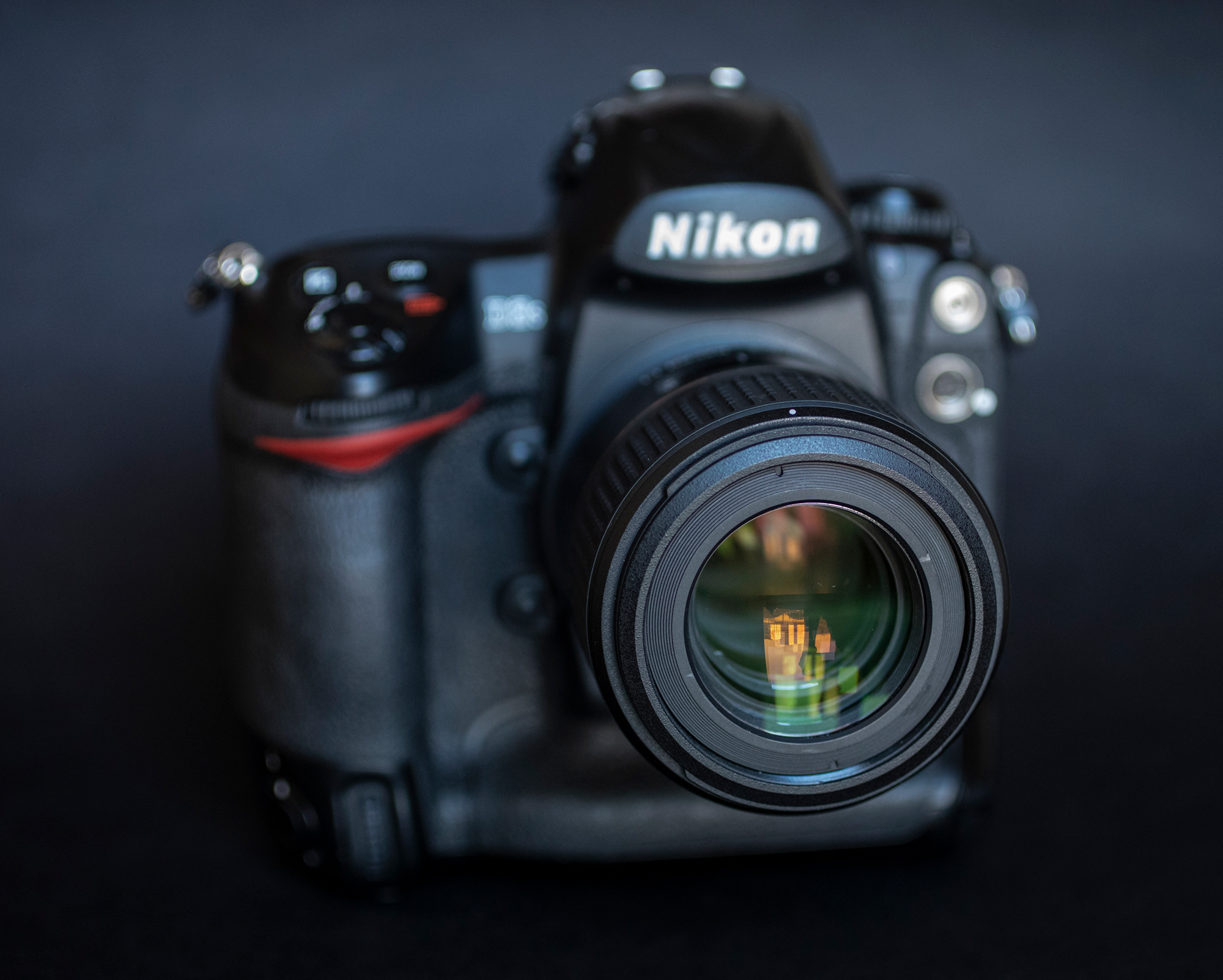 Nikon D3s w 2024, crop 1.2, 8.5 megapiksela, Tamron SP AF 60mm F2.0 Di II LD (IF) Macro 1:1 i wio :)