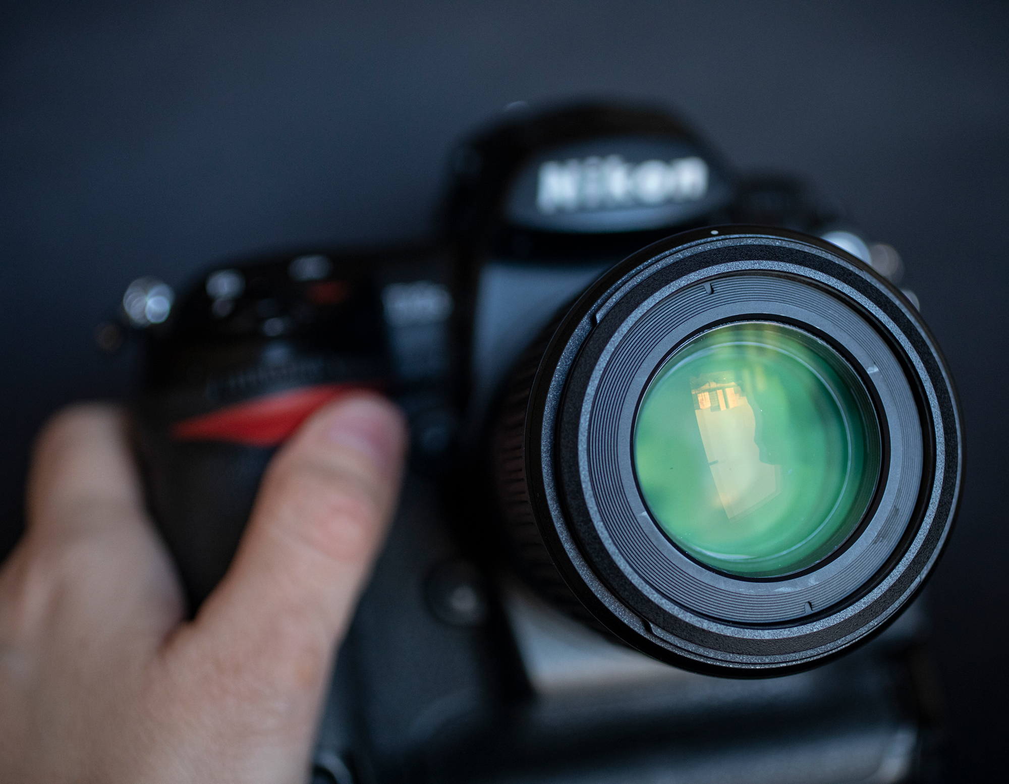 Nikon D3s w 2024, crop 1.2, 8.5 megapiksela, Tamron SP AF 60mm F2.0 Di II LD (IF) Macro 1:1 i wio :)