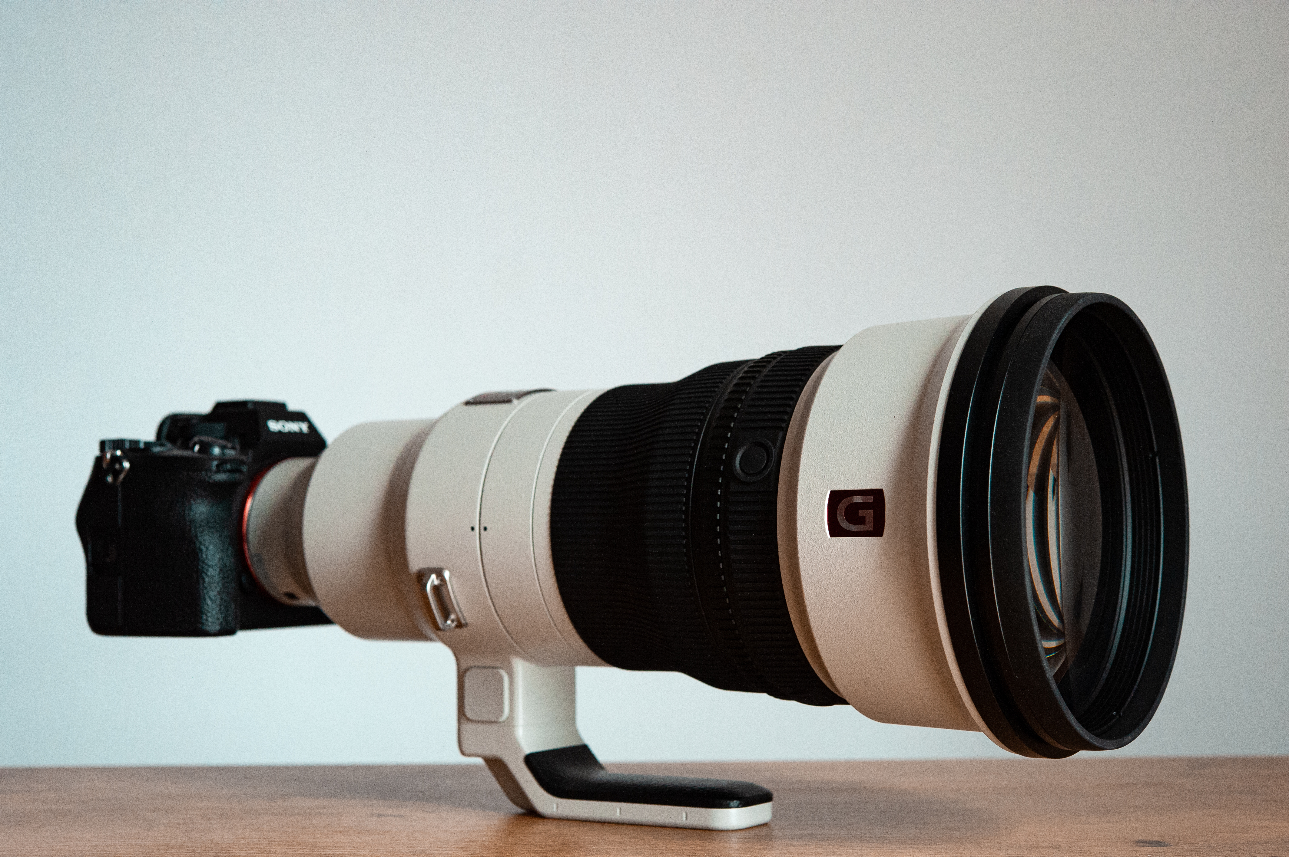 Sony FE 400mm F2.8 GM OSS - fotografowanie (nie)dzikiej przyrody na Sony A7RV