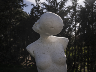 TTArtisan 28mm F5.6 Leica M Gold Limited Dsc0475