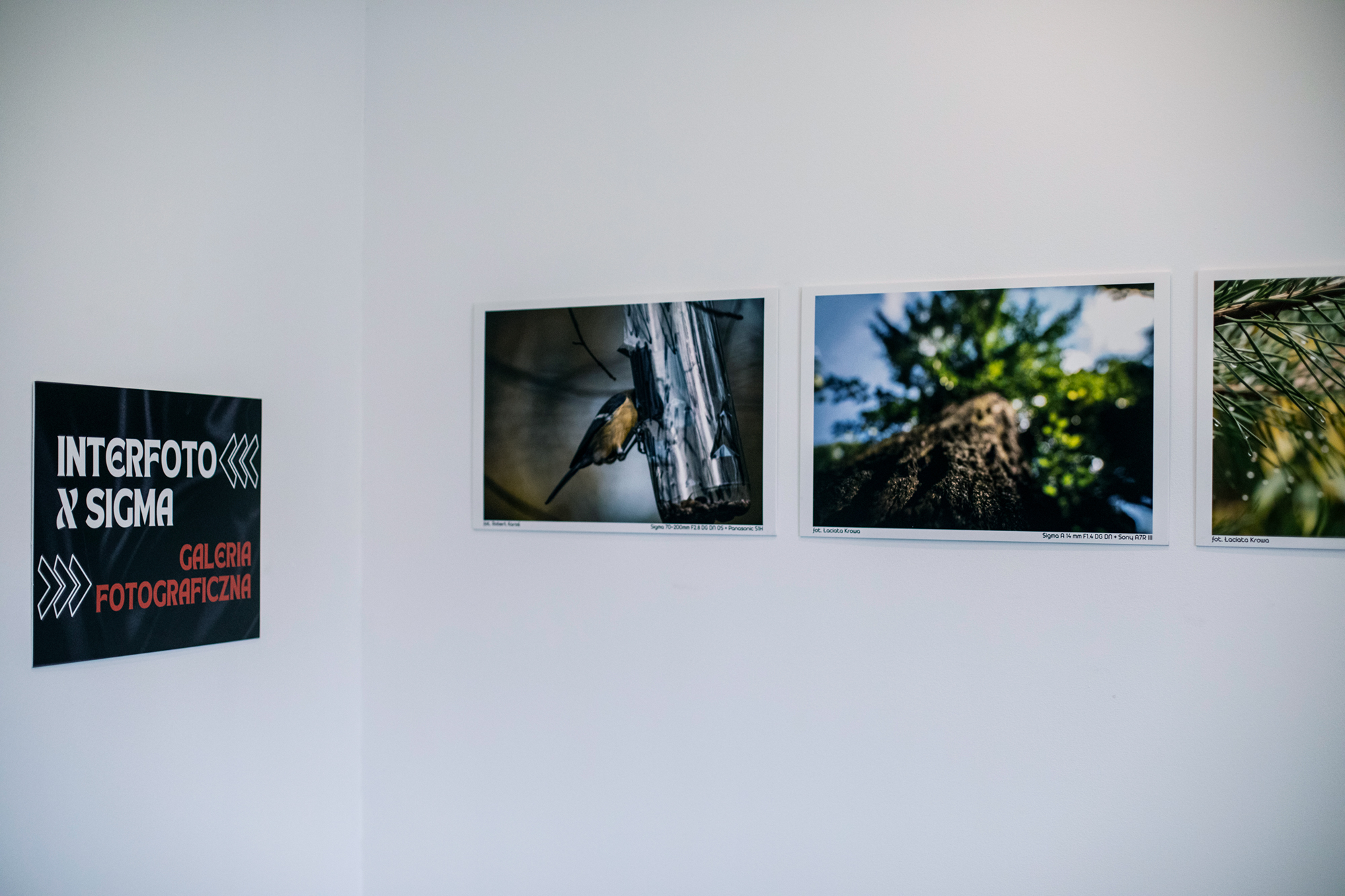 Galeria Fotograficzna InterFoto x Sigma