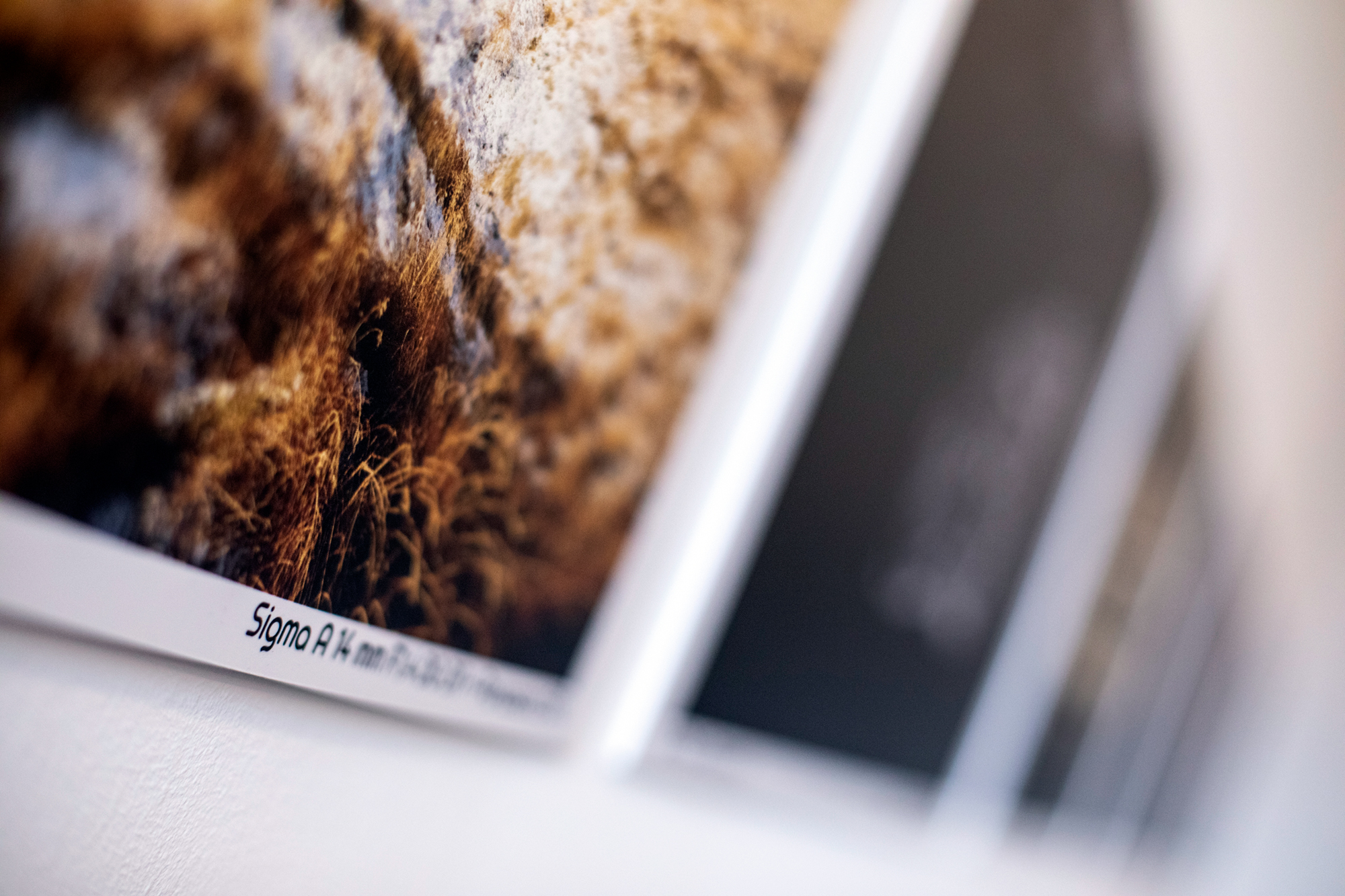 Galeria Fotograficzna InterFoto x Sigma