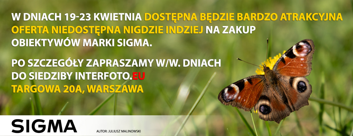 Oferta specjalna Sigma