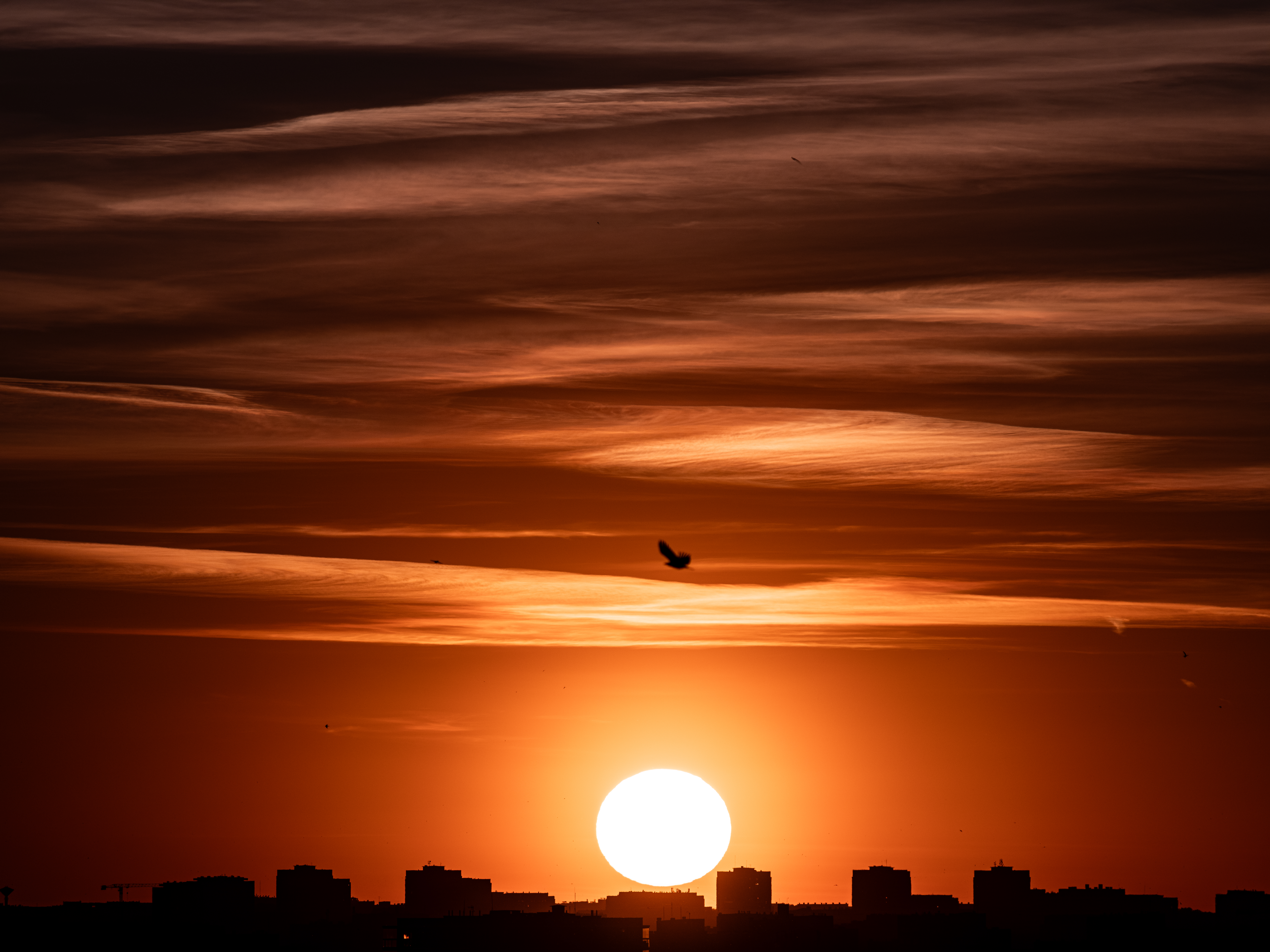 TTArtisan 500mm F6.3 ED FujiFilm GFX