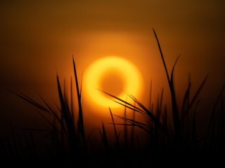 Galeria zdjęć przykładowych z Nikon Z7 II i TTArtisan 250mm F5.6 Reflex w mocowaniu M42 (Donut bokeh, Lord Of The Rings) Galeria zdjęć przykładowych z Nikon Z7 II i TTArtisan 250mm F5.6 Reflex w mocowaniu M42 (Donut bokeh, Lord Of The Rings)