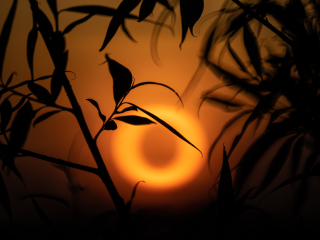 Galeria zdjęć przykładowych z Nikon Z7 II i TTArtisan 250mm F5.6 Reflex w mocowaniu M42 (Donut bokeh, Lord Of The Rings) Galeria zdjęć przykładowych z Nikon Z7 II i TTArtisan 250mm F5.6 Reflex w mocowaniu M42 (Donut bokeh, Lord Of The Rings)