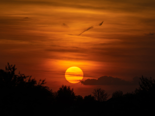 Galeria zdjęć przykładowych z Nikon Z7 II i TTArtisan 250mm F5.6 Reflex w mocowaniu M42 (Donut bokeh, Lord Of The Rings) Galeria zdjęć przykładowych z Nikon Z7 II i TTArtisan 250mm F5.6 Reflex w mocowaniu M42 (Donut bokeh, Lord Of The Rings)
