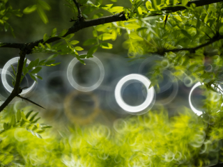Galeria zdjęć przykładowych z Nikon Z7 II i TTArtisan 250mm F5.6 Reflex w mocowaniu M42 (Donut bokeh, Lord Of The Rings) Galeria zdjęć przykładowych z Nikon Z7 II i TTArtisan 250mm F5.6 Reflex w mocowaniu M42 (Donut bokeh, Lord Of The Rings)