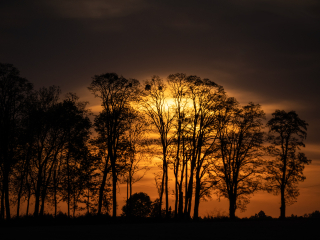 Galeria zdjęć przykładowych z Nikon Z7 II i TTArtisan 250mm F5.6 Reflex w mocowaniu M42 (Donut bokeh, Lord Of The Rings) Galeria zdjęć przykładowych z Nikon Z7 II i TTArtisan 250mm F5.6 Reflex w mocowaniu M42 (Donut bokeh, Lord Of The Rings)