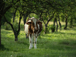 Galeria zdjęć przykładowych z Nikon Z7 II i TTArtisan 250mm F5.6 Reflex w mocowaniu M42 (Donut bokeh, Lord Of The Rings) Galeria zdjęć przykładowych z Nikon Z7 II i TTArtisan 250mm F5.6 Reflex w mocowaniu M42 (Donut bokeh, Lord Of The Rings)