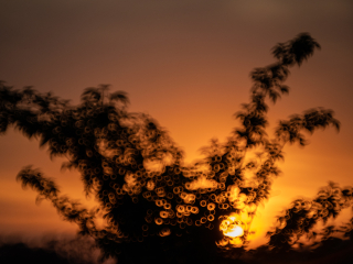 Galeria zdjęć przykładowych z Nikon Z7 II i TTArtisan 250mm F5.6 Reflex w mocowaniu M42 (Donut bokeh, Lord Of The Rings) Galeria zdjęć przykładowych z Nikon Z7 II i TTArtisan 250mm F5.6 Reflex w mocowaniu M42 (Donut bokeh, Lord Of The Rings)