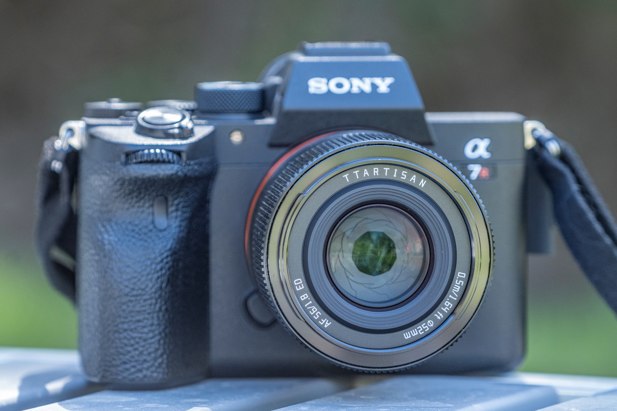 AF 56mm F1.8 Sony A7R IV_fot9810