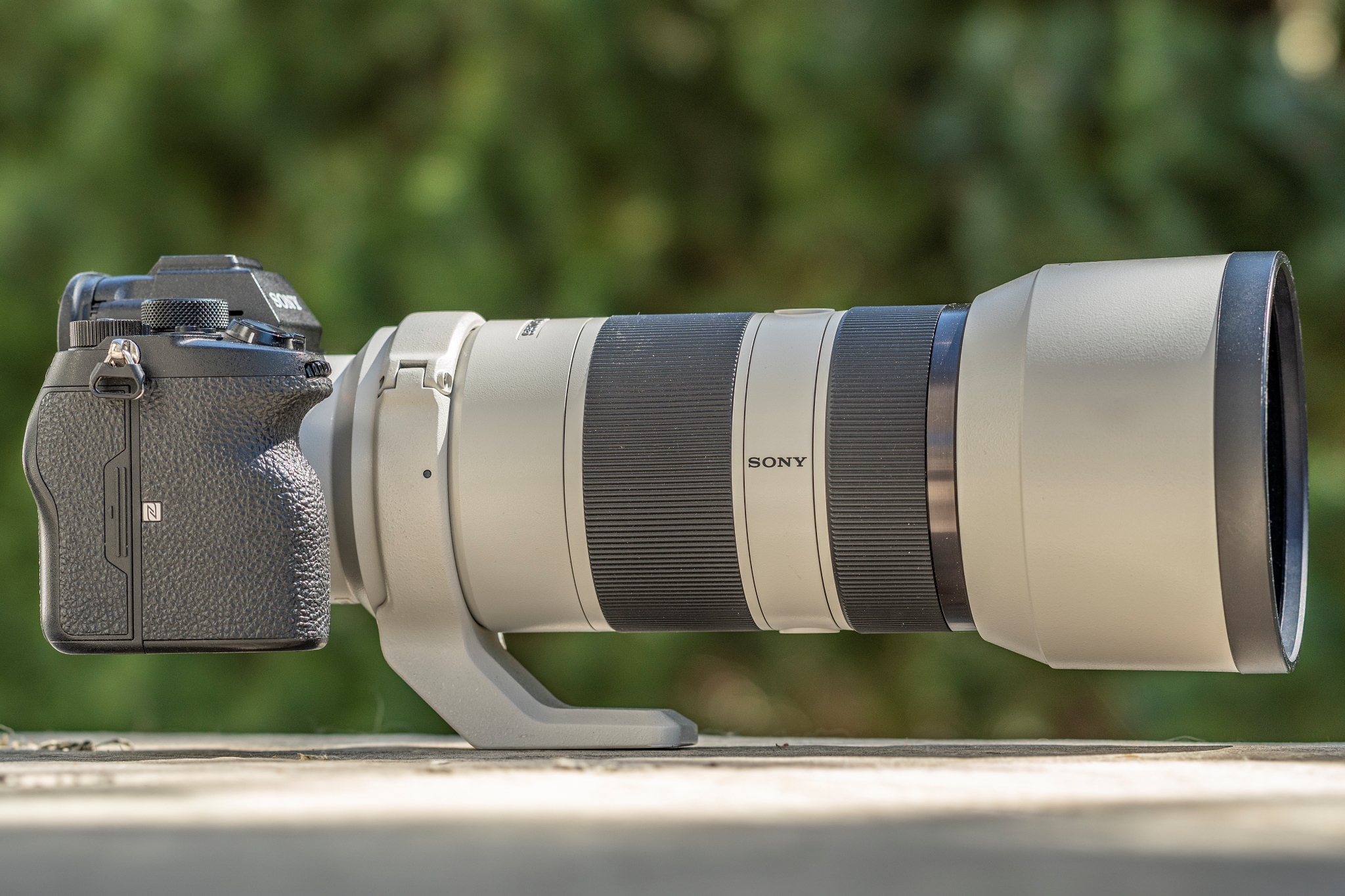 Sony FE 70-200mm F4 G OSS__fot9849