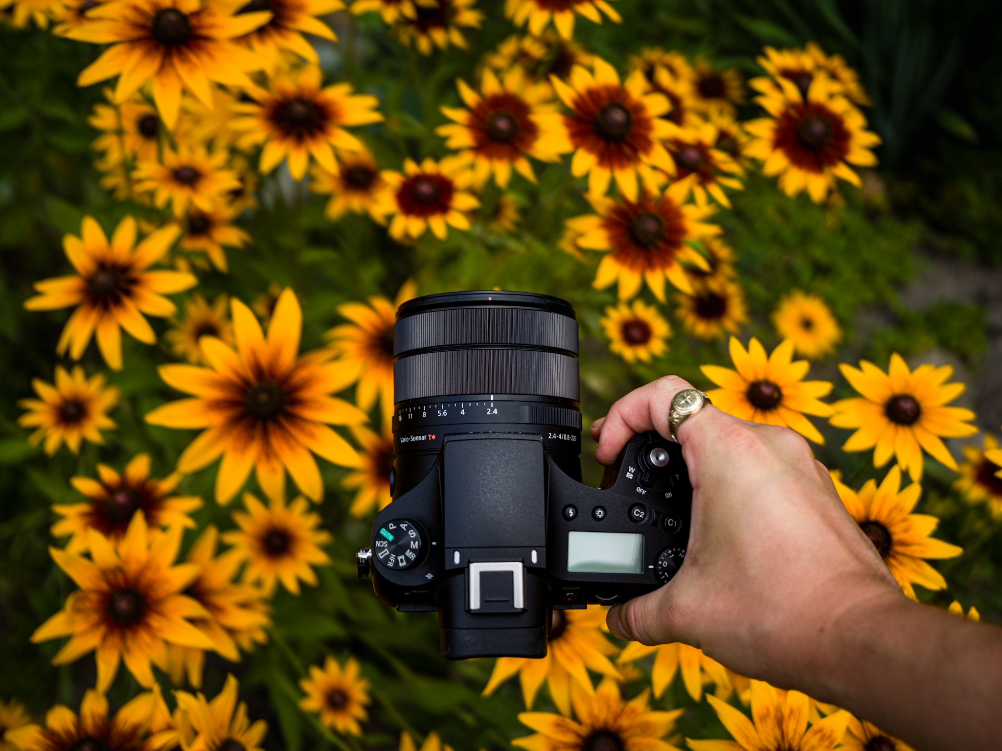 Sony RX10IV