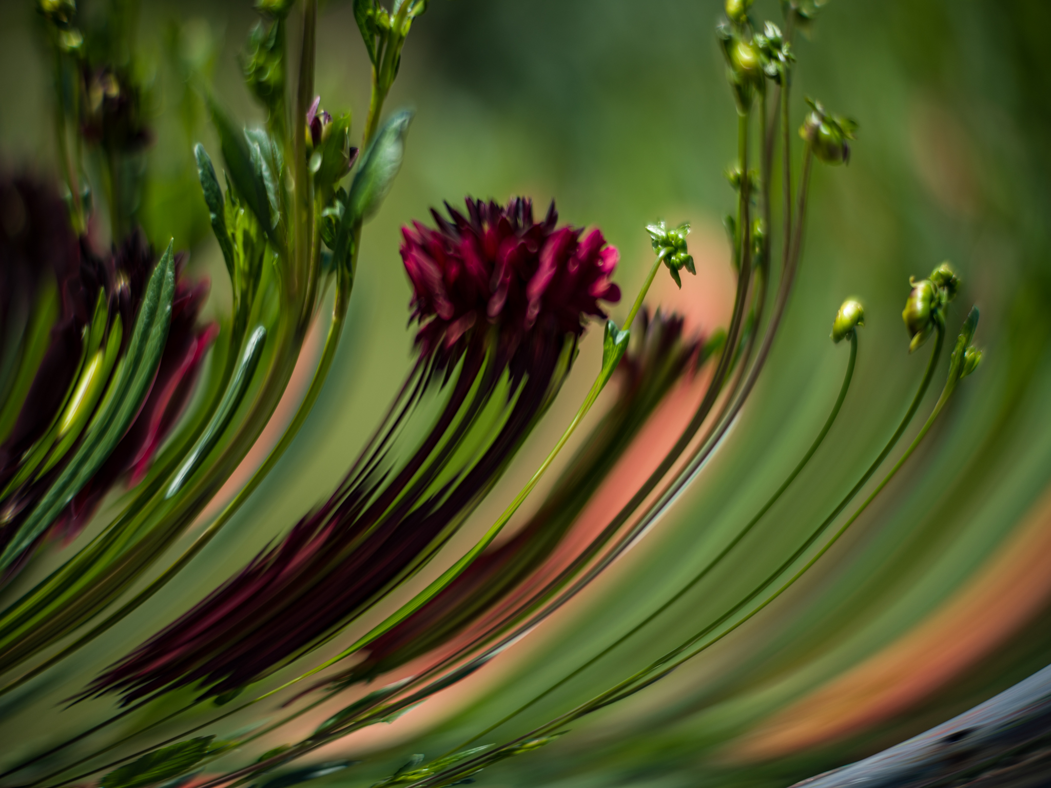 TTArtisan 90mm F1.25